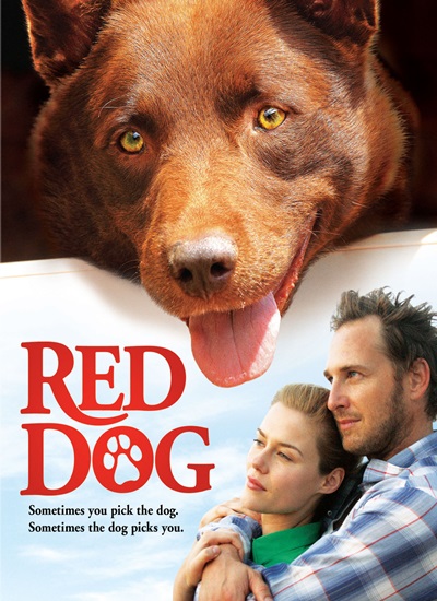 Red Dog : เพื่อนซี้หัวใจหยุดโลก - เรื่องเล็กๆ ของหมาน้อย ที่ทำให้คุณยิ้มได้กว้างๆ