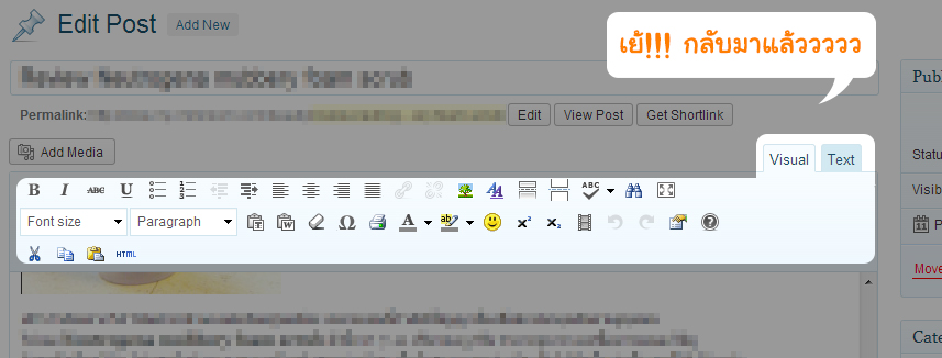 Tab Visual และ HTML หายไปจาก wordpress editor ทั้งใน Page และ Post