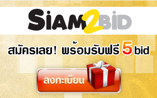 Flash Animation เว็บไซต์ Siam2bit